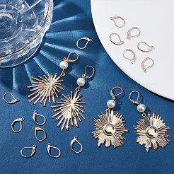 50Pcs 304 Stainless Steel Leverback Earring Findings&nbsp;STAS-BBC0001-44RG