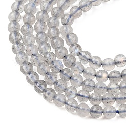 Natural Labradorite Beads Strands&nbsp;G-H358-A13-3mm-01