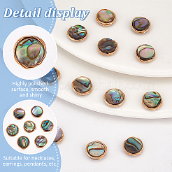 20Pcs Natural Abalone Shell/Paua Shell Copper Wire Wrapped Flat Round Cabochons&nbsp;FIND-BC0005-40