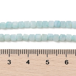 Natural Freshwater Shell Dyed Beads Strands&nbsp;SHEL-R100-11A-03