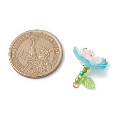 Transparent Acrylic Pendants&nbsp;X1-PALLOY-MZ00822-03