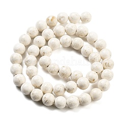 Natural Fossil Beads Strands&nbsp;G-H026-02D