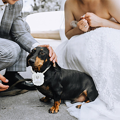 Polyester Pet Dog Wedding Ring Displays&nbsp;AJEW-WH0460-074P-02