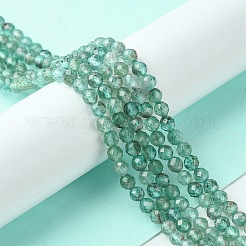 Natural Apatite Beads Strands&nbsp;G-F748-J01-02