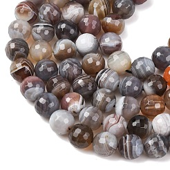 Natural Botswana Agate Beads Strands&nbsp;G-G453-B01-10mm