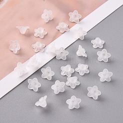 Transparent Acrylic Beads&nbsp;PL554