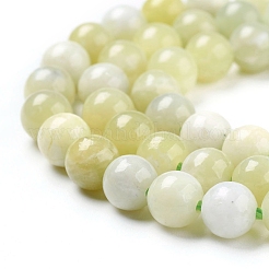 Natural Green Jade Beads Strands&nbsp;G-G844-01-10mm