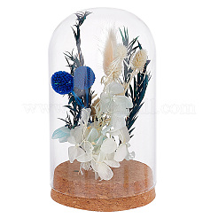 Glass Dome Cover&nbsp;AJEW-PH0004-19C