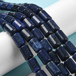 Natural Lapis Lazuli Beads Strands&nbsp;G-M420-E02-03