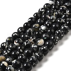 Synthetic Turquoise and Sea Shell Assembled Beads Strands&nbsp;G-D482-01C-01