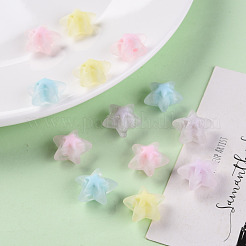 Transparent Acrylic Beads&nbsp;TACR-S152-11C