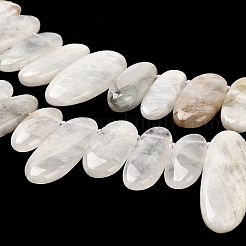 Natural Moonstone Beads Strands&nbsp;G-M408-D03
