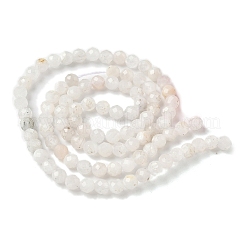 Natural Moonstone Beads Strands&nbsp;G-C201-B06-4mm