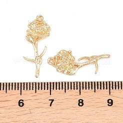 Brass Pendants&nbsp;KK-A288-01G-09