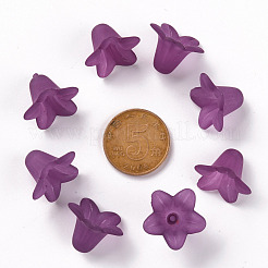 Transparent Acrylic Beads&nbsp;PLF018-16