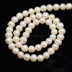 Natural Cultured Freshwater Pearl Beads Strands&nbsp;X-PEAR-L001-F-07