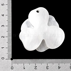 Valentine's Day Cellulose Acetate (Resin) Pendants&nbsp;FIND-A064-01