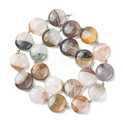 Natural Agate Beads Strands&nbsp;G-L654-C02-02