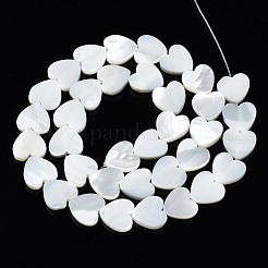 Natural Trochid Shell/Trochus Shell Beads Strands&nbsp;SSHEL-N034-99A-B01