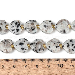 Natural Sesame Jasper Beads Strands&nbsp;G-P592-B15-01