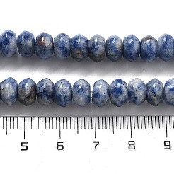 Natural Blue Spot Jasper Beads Strands&nbsp;G-P559-A15-01