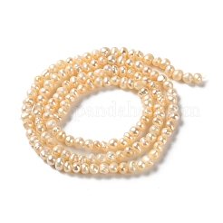 Natural Cultured Freshwater Pearl Beads Strands&nbsp;PEAR-E018-81