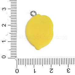 Resin with Alloy Pendants&nbsp;LS-RE-CBA08CD-09A