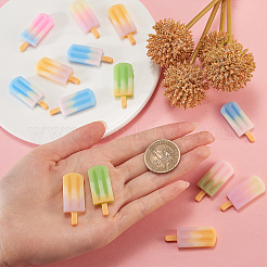 Resin Decoden Cabochons&nbsp;RESI-CJ0001-103