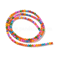 Ice Cream Color Dyed Natural Freshwater Shell Beads Strands&nbsp;SHEL-G018-01D