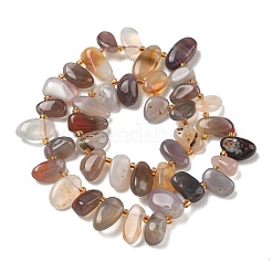 Natural Botswana Agate Beads Strands&nbsp;G-P604-A06-01