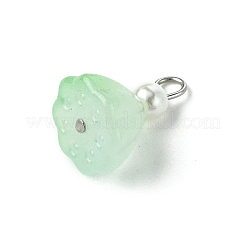 7Pcs Acrylic Charms&nbsp;PALLOY-JF03242