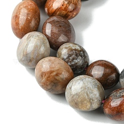 Natural Fossil Coral Beads Strands&nbsp;G-G117-A01-02