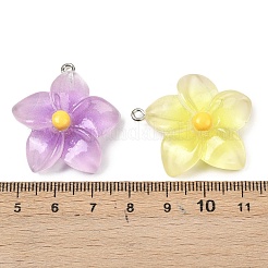 Opaque Resin Pendants&nbsp;RESI-G117-01