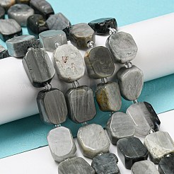 Natural Eagle Eye Stone Beads Strands&nbsp;G-G072-B01-01