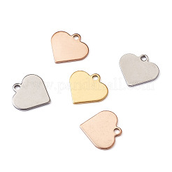 304 Stainless Steel Charms&nbsp;STAS-BT0001-03