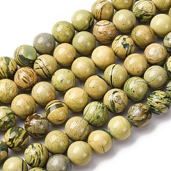 Natural Verdite Stone Beads Strands&nbsp;G-C242-03-8mm