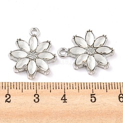 Rack Plating Alloy Pendants&nbsp;PALLOY-Z022-13P