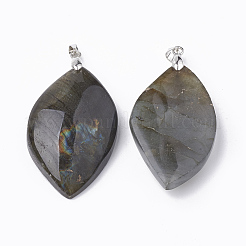 Natural Labradorite Pendants&nbsp;G-T104-15