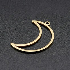 Ion Plating(IP) 201 Stainless Steel Pendants&nbsp;STAS-R111-LA137