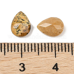 Natural Picture Jasper Cabochons&nbsp;G-C146-01B