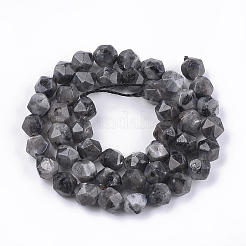 Natural Larvikite Beads Strands&nbsp;LS-G-S348-03
