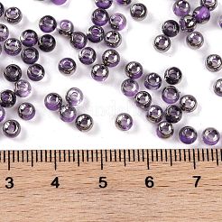 Glass Seed Beads&nbsp;SEED-A032-06W