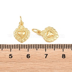 Brass Charms&nbsp;KK-H292-57B-G