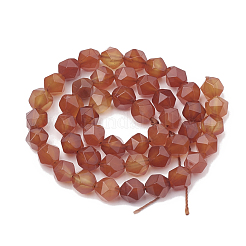 Natural Carnelian Beads Strands&nbsp;G-S332-10mm-005