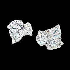 Baking Paint Acrylic Pendants&nbsp;AC-CBAF9C1-03A-04