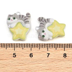 Baking Paint Zinc Alloy Pendants&nbsp;AL-CBA032C-05