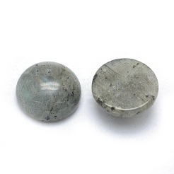 Natural Labradorite Cabochons&nbsp;G-P393-R47-14mm