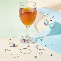 40Pcs 2 Style Ion Plating(IP) Rainbow Color 304 Stainless Steel Hoop Earrings Findings&nbsp;STAS-UN0039-05