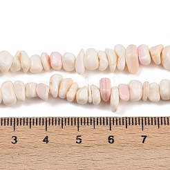 Natural Pink Shell Beads Strands&nbsp;X-SSHEL-L016-19