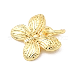 Brass Charms&nbsp;KK-C139-17G